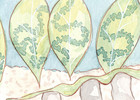 ACEO Watercolor Art Card A Bug's Life - Show Leaves 2.5x3.5