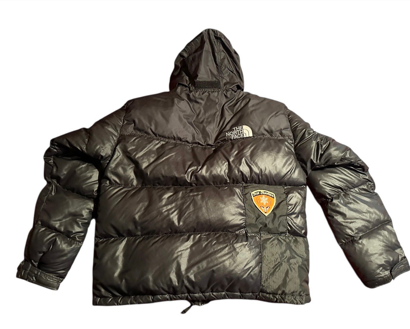 North Face Woman’s Large Feather Down Jacket - image 7