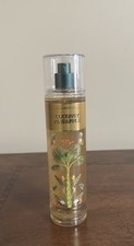 Bath  Body Works Coconut Pineapple Fragrance Body Mist 8 OZ