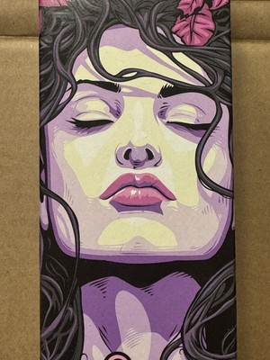 Martin House Queen of Mist Barrel Aged Plum Sour Craft Beer Box Art- Empty