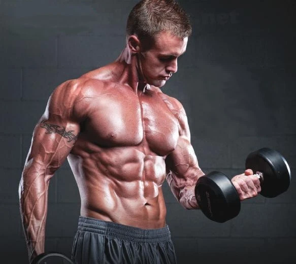 2x Probolan 50 SUPER FORTE MASSA MUSCOLARE VELOCE EFFICACE SOMATODROL Bulk Ex... - Immagine 3 di 4