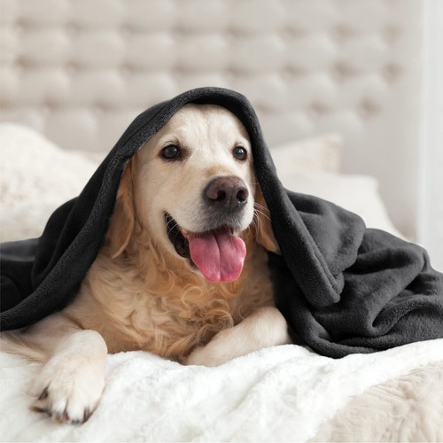 Fleece Blanket Black Throw Blankets for Couch & Bed, Luxury Plush Cozy Fuzzy ... - Picture 7 of 9