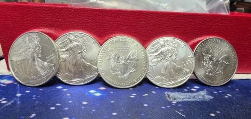 2020 United States American Silver Eagle 1 Oz 0.999 Silver Coin Lot Of 5 GBU