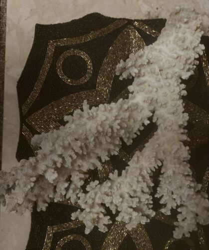 Large White Sea Coral Specimen 15" x 13" x 4" - Picture 3 of 4