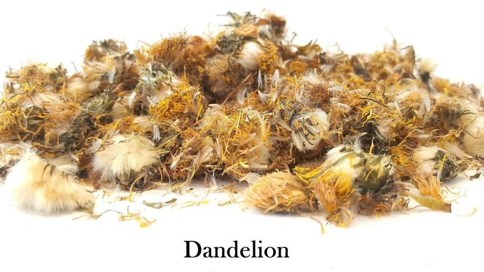 Dried Dandelion Flowers - Pet Food & Treats - Tortoise Rabbit Degu Reptile Bunny