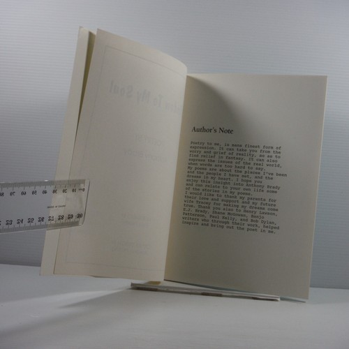 Window To My Soul by Anthony Brady Illustrated Paul Kearny 1994 Poetry Book PB - Bild 3 von 12