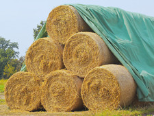 1a Strohvlies, Abdeckvlies, Schutzvlies, Heuvlies f&uuml;r Stroh, Getreide, Kompost
