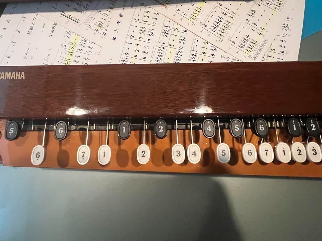 YAMAHA TH-10E Taishogoto Japanese Musical Instrument Auto