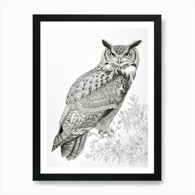 Philippinischer Adler Eule Zeichnung 2 Kunst P gerahmt Wandbild Poster Leinwanddruck Bild