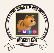 ADOPT FROM ME TODAY  MFR Ginger Cat