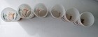Vintage Michigan Sportsman's Paradise Frosted Tumblers Set Of 6 Rare/Unique Set — photo 2
