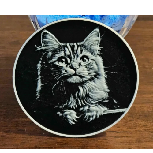 2-Piece Cat Coaster Set – Cute Feline Drink Coasters for Home & Office