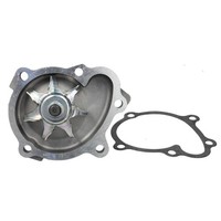 Wasserpumpe Hepu P326