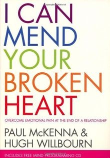 I Can Mend Your Broken Heart von McKenna, Paul | Buch | Zustand gut