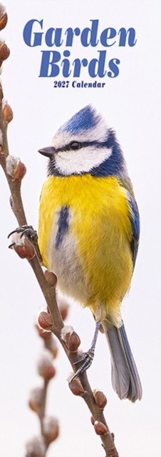 Garden Birds Slim Avonside Publishing - Image 2