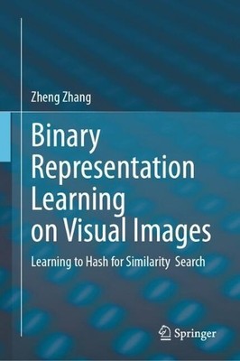 Binary Representation Learning on Visual Images - 9789819721115