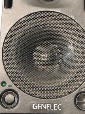 PAIR of Genelec 1029A Active Studio Monitor Speakers 1029-A | eBay