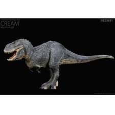 Rebor Tyrannosaurus rex Cream &ldquo;Mountain&rdquo; - BNIB