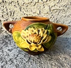 Roseville Apple Blossom 663-3 Art Pottery Vase 2 Handles Floral Brown Green 4"