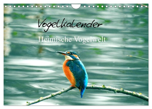 "Calendar 2027 · US Version · Bird Calendar (Wall Calendar 2027 12\" × 8\" Landscap"-image