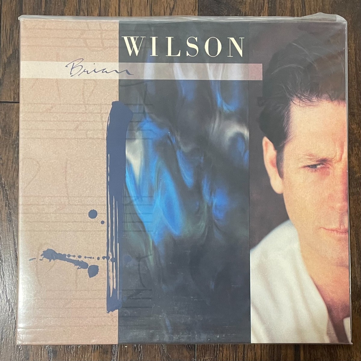 Brian WIlson Self-TItled LP NEW 2013 Friday Music Blue Vinyl 1988
