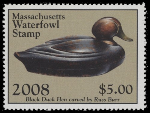 Francobollo Massachusetts State Duck 2008 come nuovo mai incernierato. Gomma originale,