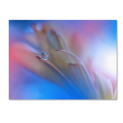 Touch Me Softly Wall Décor, 14x19