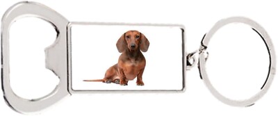 Brauner Dackel Hund Haustier Rechteck Flaschenöffner Metall Schlüsselanhänger + Geschenktüte