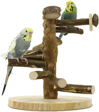 Wellensittich Spielplatz Vogel-Spielplatz Für Nymphensittich Papageien Wellensit