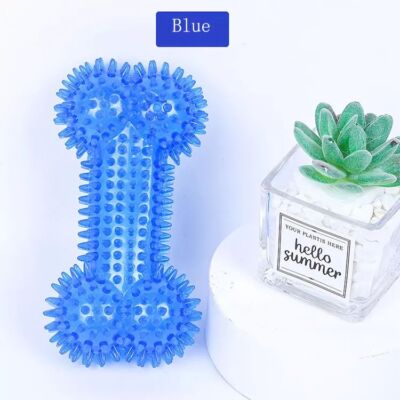 Dog Durable Squeaky Spiked Bone Chew Toy for Dental Teething Cleaning Puppy Fun
