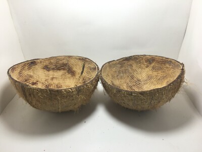 2 PCS COCONUT SHELL HALVES Eco friendly Ceylon 100% Natural coconut Shell