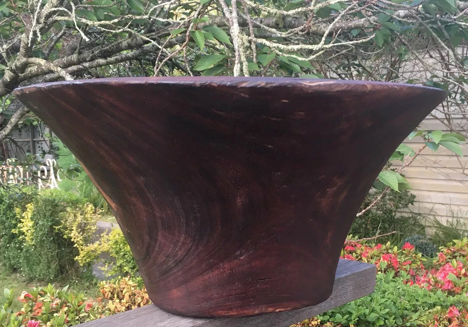 Picture 3 of 11