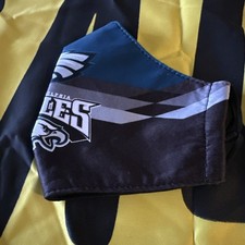 Philadelphia Eagles Face Mask