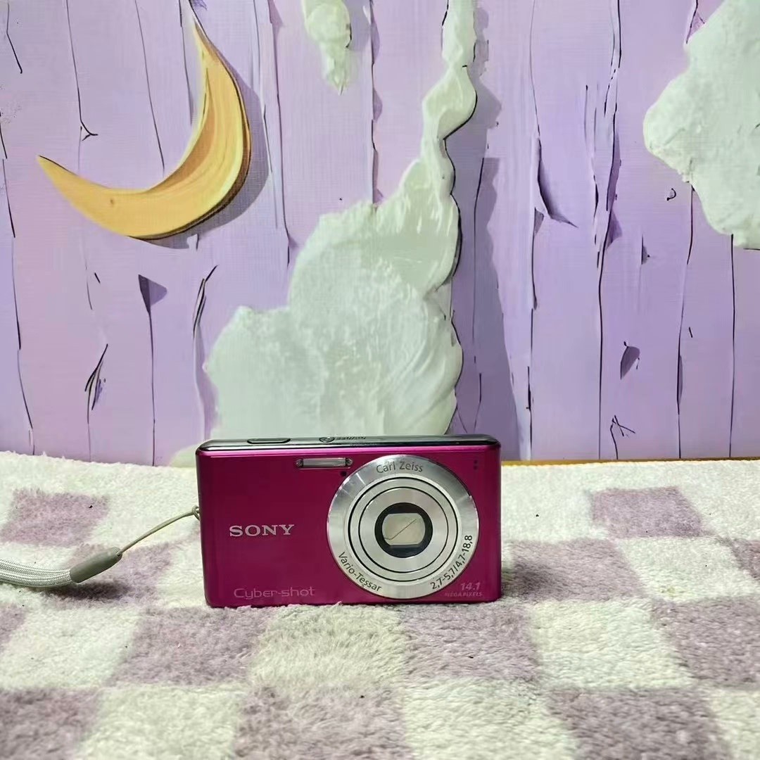 SONY Cyber-shot DSC-W530 Digital Camera 14.1 MP 4x Optical Zoom