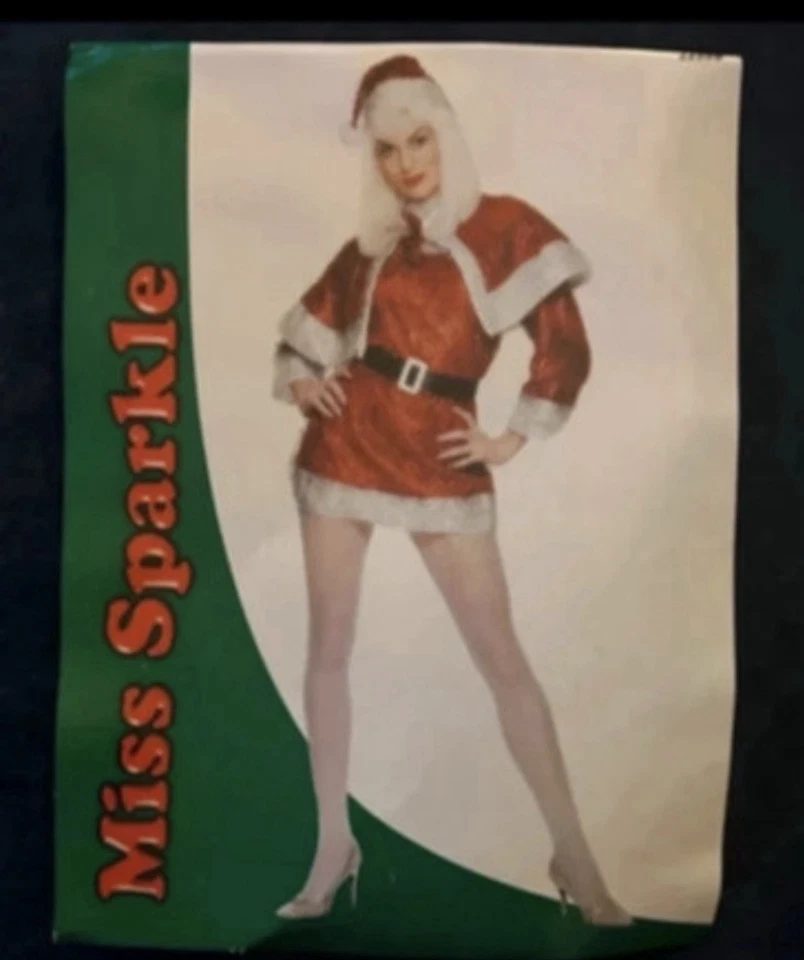 Miss Sparkle Christmas Fancy Dress Costume Fits Up To A Size 14 - Image 3 of 3