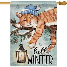 Hello Winter Orange Cat 28 x 40 House Flag Double Sided, Pine Branch Lantern ...