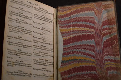 1677 Dictionarium latino lusitanicum et lusitanico latinum - Picture 12 of 13