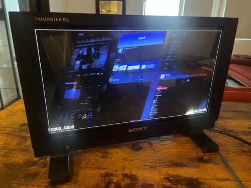 Sony PVM-A170 17" Professional OLED Video Monitor - 第 1/11 張圖片