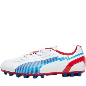puma evospeed 5