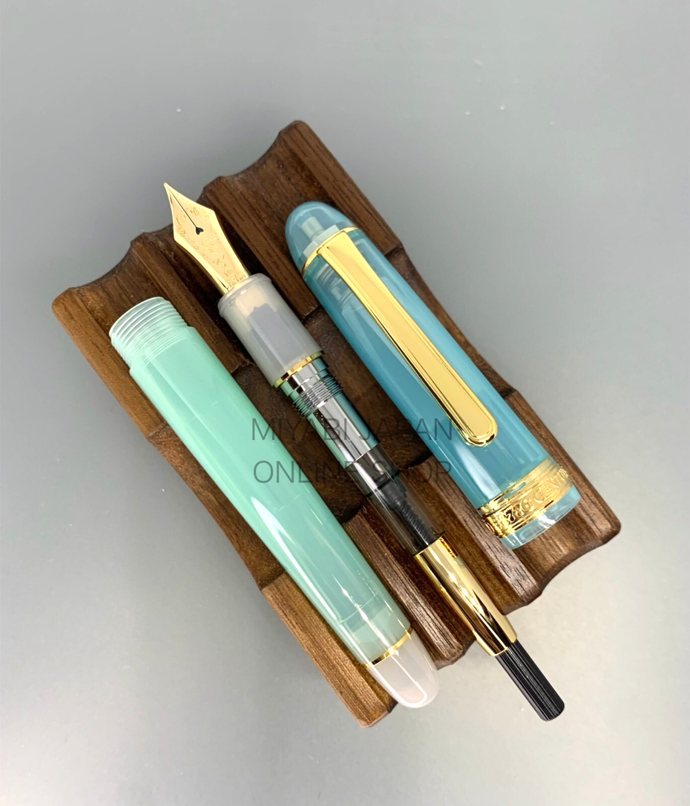 New PLATINUM #3776 Century PEPPERMINT TEA 14K Medium Nib Nonble Tea Series No. 4