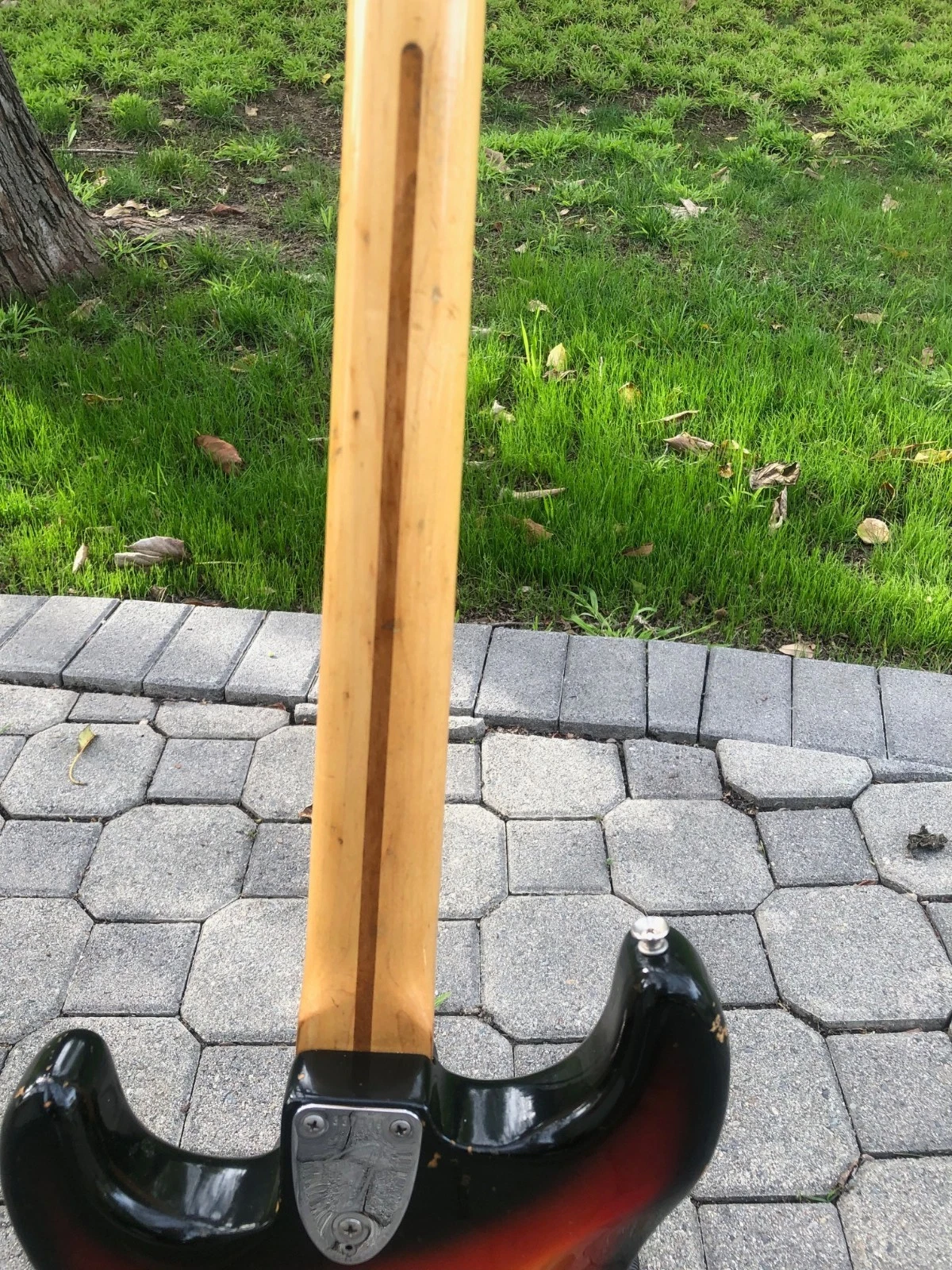 Picture 3 of 11