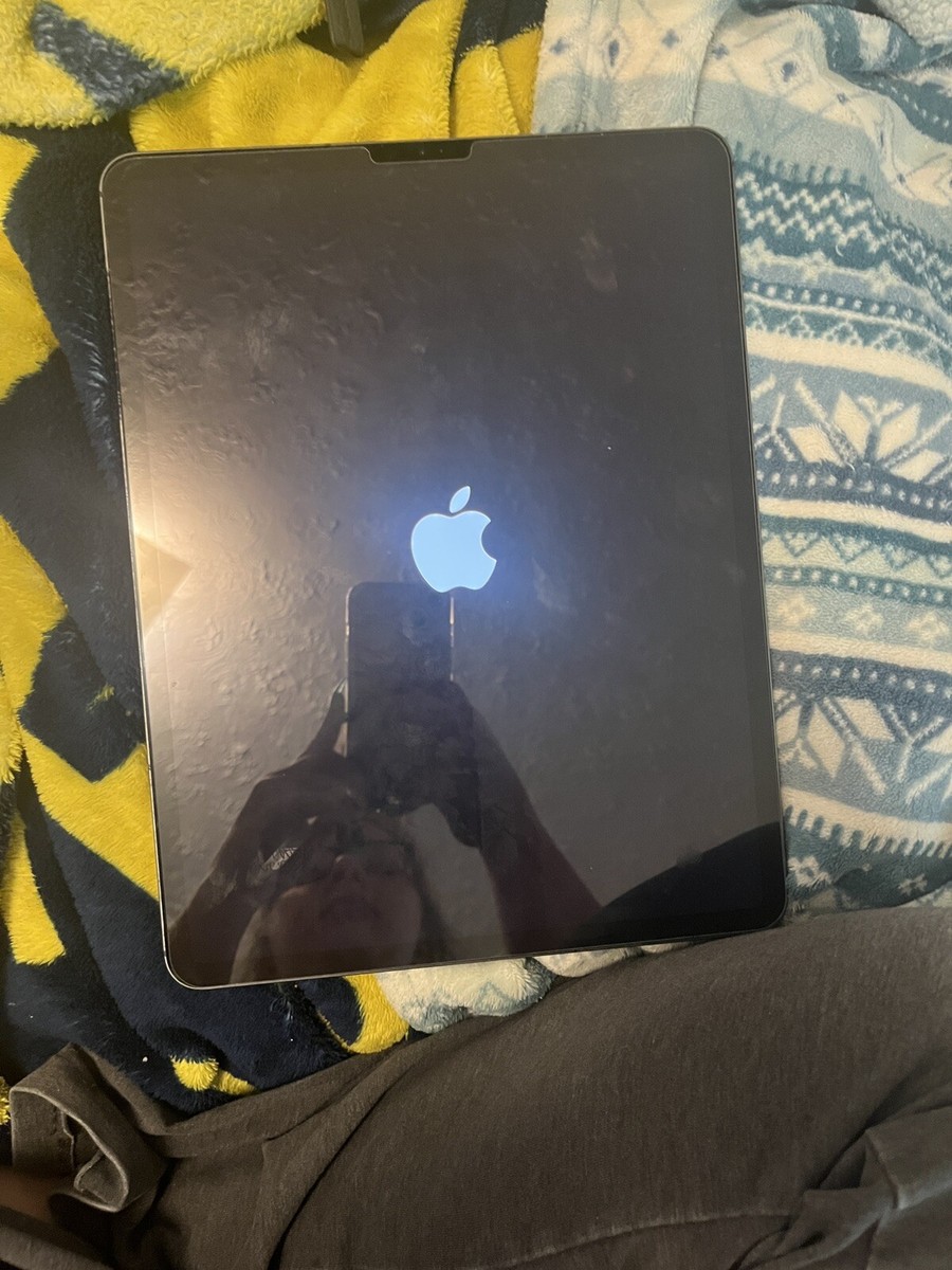 Apple iPad Pro 3rd Gen. 256GB, Wi-Fi + 4G (Unlocked), 12.9 in