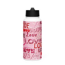Stainless steel water bottle with a straw lid