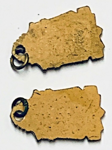TWO SCHOOL STUDENT COUNCIL PENDANTS - Picture 2 of 2