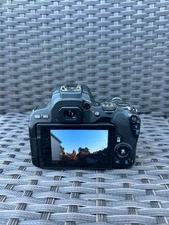 cannon eos rebel sl2 dslr camera