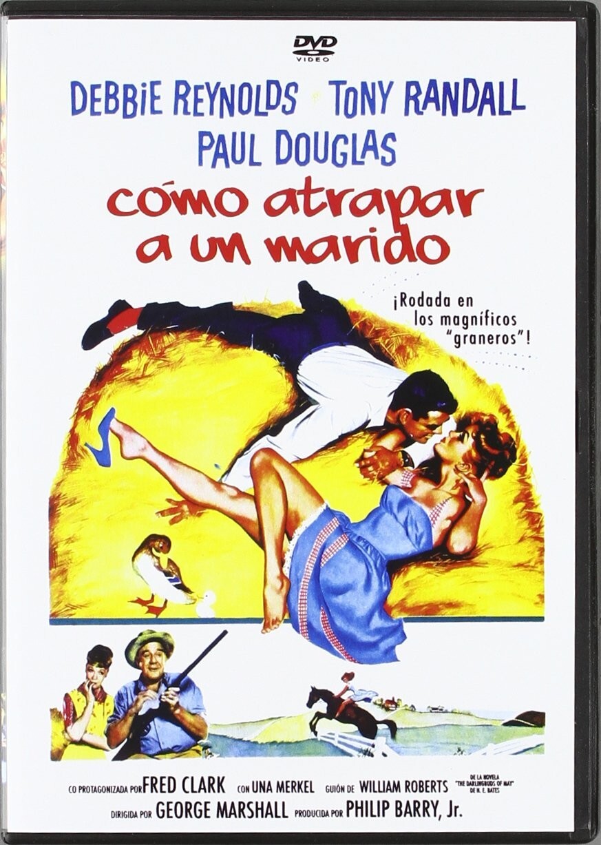 COMO ATRAPAR A UN MARIDO (DVD)