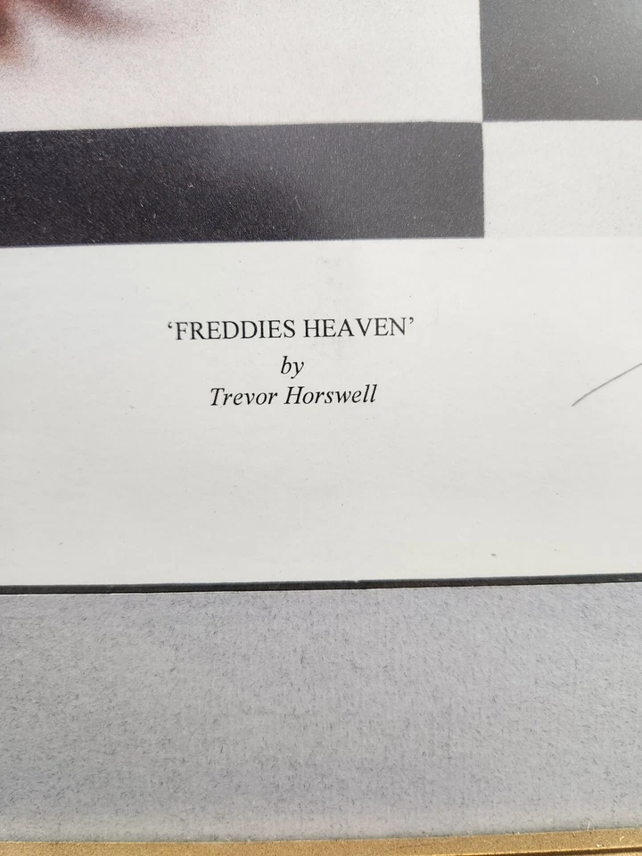 "Freddie's Heaven" de Trevor Horswell, #181/199, prueba enmarcada/firmada con certificado de autenticidad  Foto 4 de 4