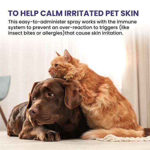 Neu 118ml Hydrocortison Spray Haustier Anti Juckreiz Spray für Hunde und Katzen ❥❥ - Bild 8 von 9