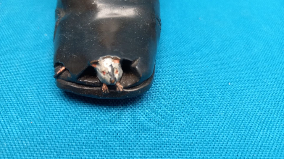 IMPORTANT SOULIER BRONZE POLYCHROME DE VIENNE AVEC CHAT ET SOURIS GESCHUTZT - Photo 4/4