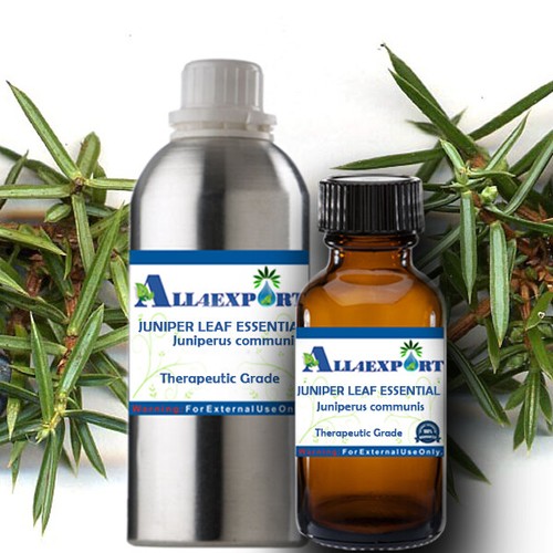 PURE JUNIPER LEAF ESSENTIAL OIL Juniperus communis NATURAL AYURVEDA